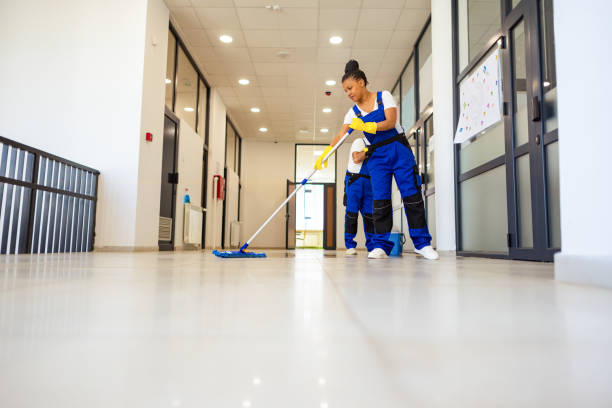 istockphoto 2158719550 612x612 1