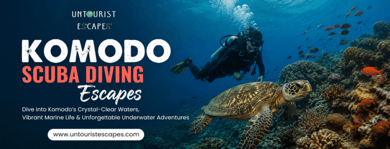 Komodo Scuba Diving Escapes