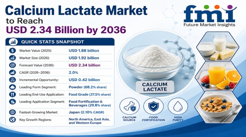 Calcium Lactate Market
