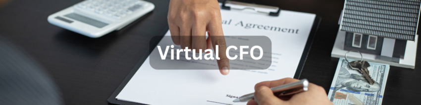 Virtual CFO