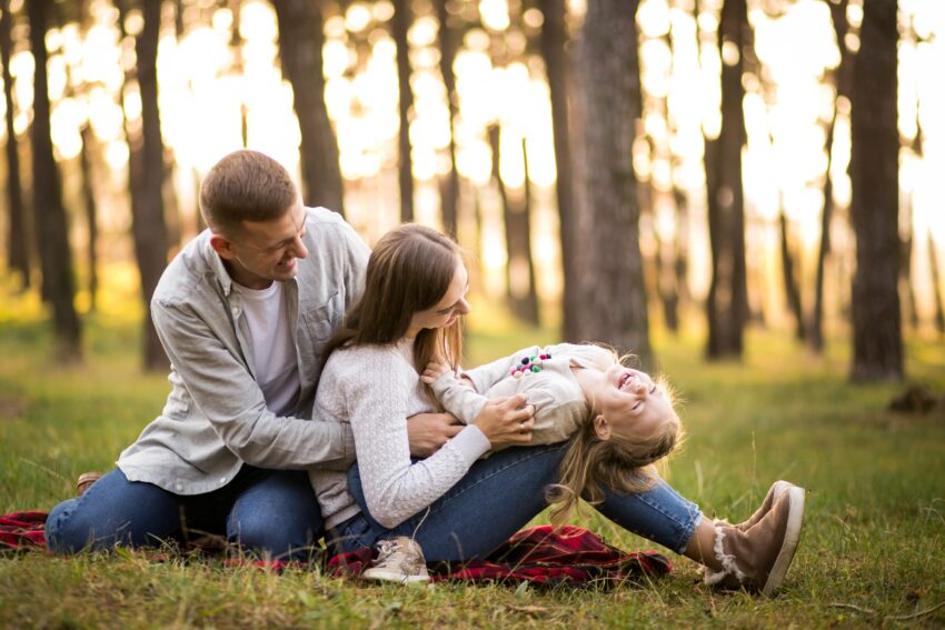 family forest 1 1