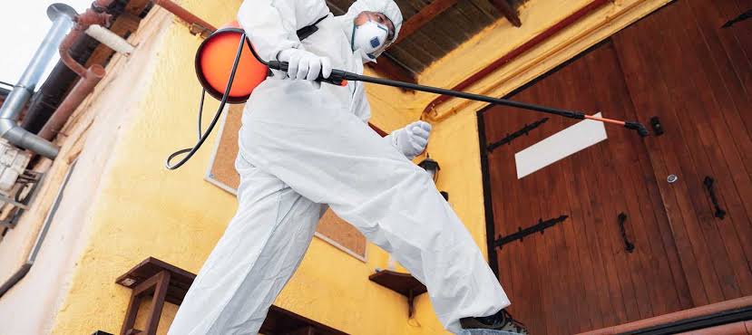 same day pest control Melbourne
