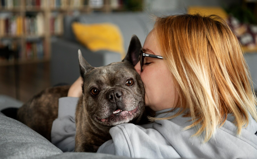 Happy bulldog