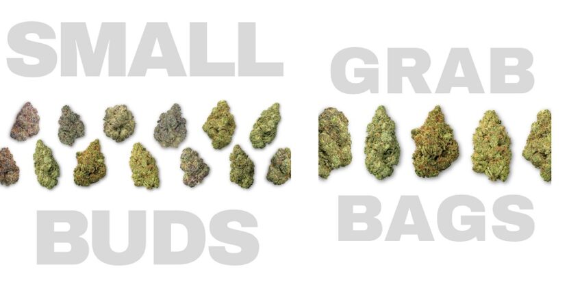 Small Buds Product Photo 77298