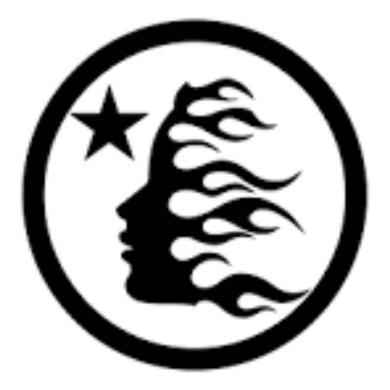 hellsttr logo