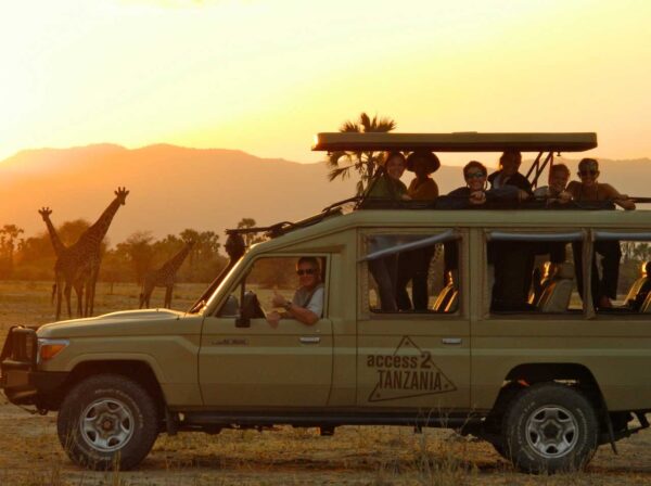 Tanzania Tour 600x448 1