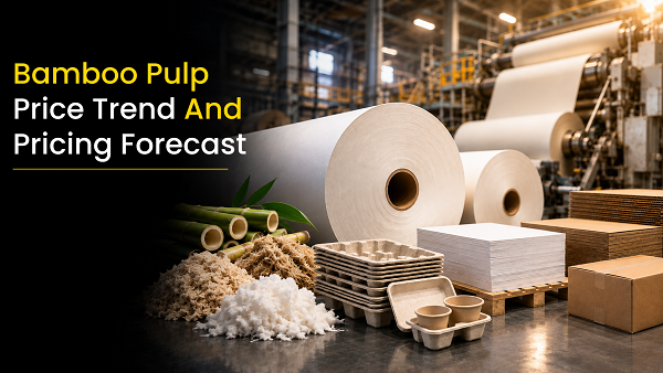 Bamboo Pulp