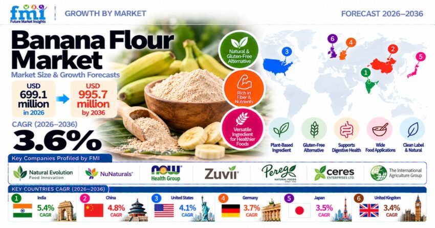 Banana Flour Market