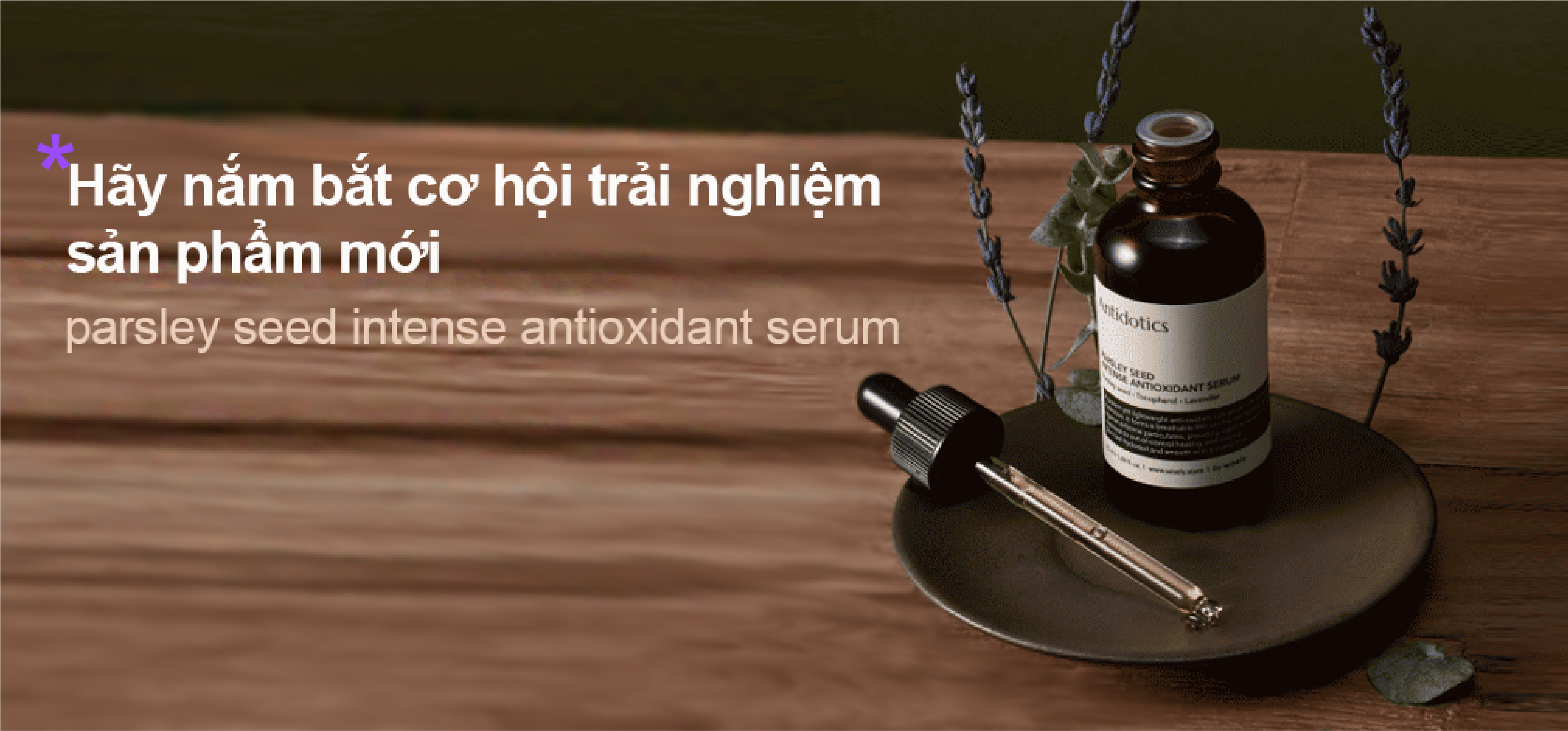 Wizmetic_Event_Antidotics.jpg