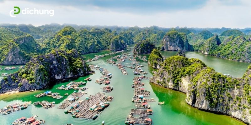 xe khách Nội Bài Hải Phòng 2