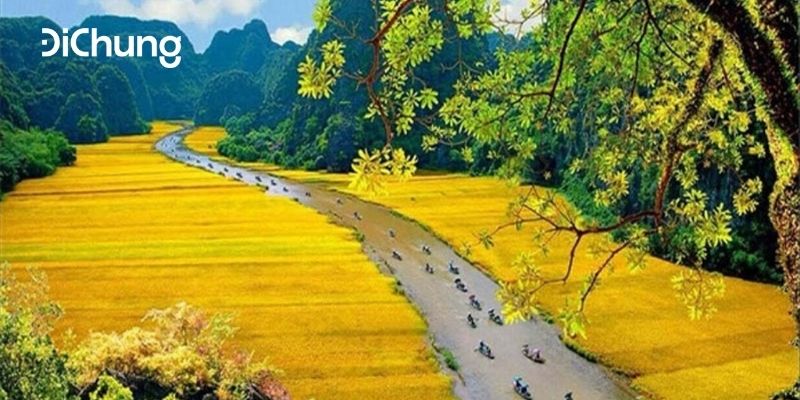đi xe limousine về ninh bình