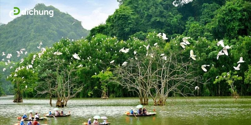 xe khách đi Ninh Bình