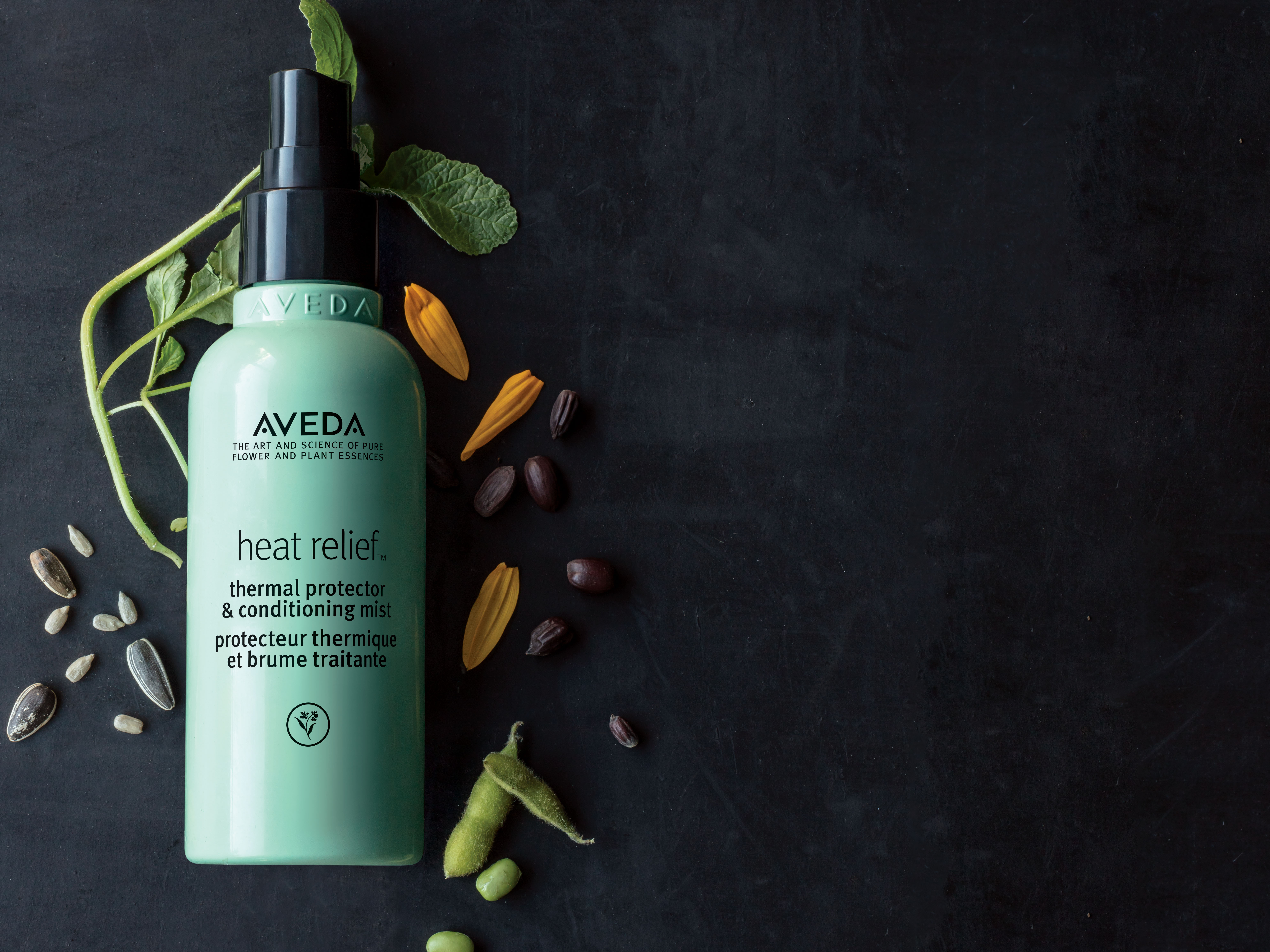 Aveda Unveils New 'No Wash' Products - Styleicons.