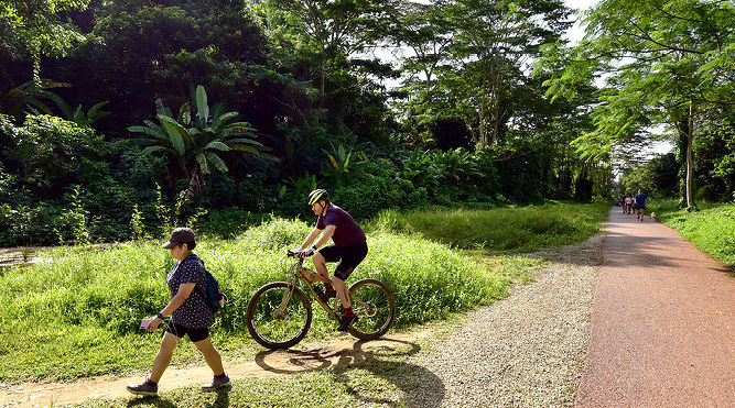 fitness - THE EDGE SINGAPORE