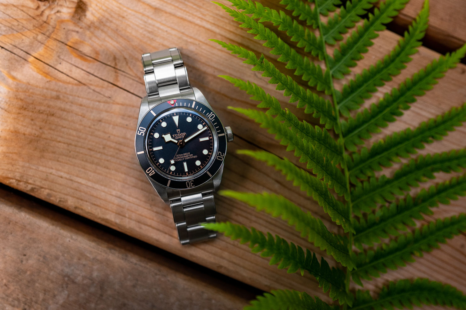 Tudor Black Bay Fifty Eight - THE EDGE SINGAPORE