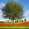 Gesund Essen und Leben - der Podcast mit Gerald Rauch by Gesundheit, gesunde Lebensmittel essen, Gesundheit, mit Freude leben, fit sein und sich Wohlfühlen, abnehmen GardenRadio