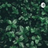 Back to Nature: Waterfall , Deep Relax by Dr. Relax GardenRadio