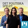 Det politiska spelet by Sveriges Radio GardenRadio