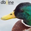 Doubleline Podcast by andrea GardenRadio