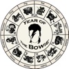 Year of the Bowie (The Life of David Bowie) by BDWPS.com GardenRadio