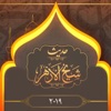 الإمام الطيب - حديث شيخ الأزهر ٢٠١٩ by Ahmed Al Tayeb - أحمد الطيب GardenRadio