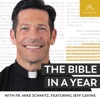 The Bible in a Year (with Fr. Mike Schmitz) by Ascension GardenRadio