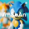 Sonic The Hedgehog by Camp VSA 3 GardenRadio