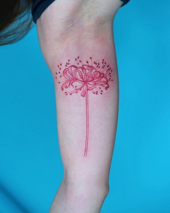 H&igrave;nh xăm hoa m&agrave;u đỏ tr&ecirc;n c&aacute;nh tay với nền xanh.