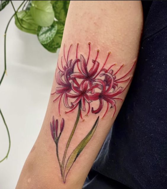 H&igrave;nh xăm hoa đỏ tr&ecirc;n c&aacute;nh tay, với chi tiết l&aacute; xanh v&agrave; b&ocirc;ng hoa nở rộ, nền trắng v&agrave; &aacute;o tối m&agrave;u.