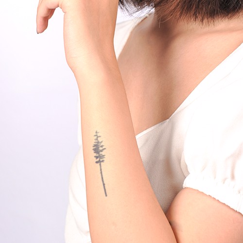 hinh-xam-don-gian-dep-21_c78d008c7bc6464f857278d42ddba603_grande Cánh tay với hình xăm cây thông nhỏ, người mặc áo trắng, nền trắng.