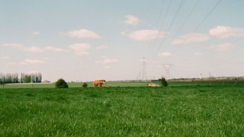 1000+ Hình ảnh đẹp nhất về quê hương Việt Nam gợi lại ký ức tuổi thơ