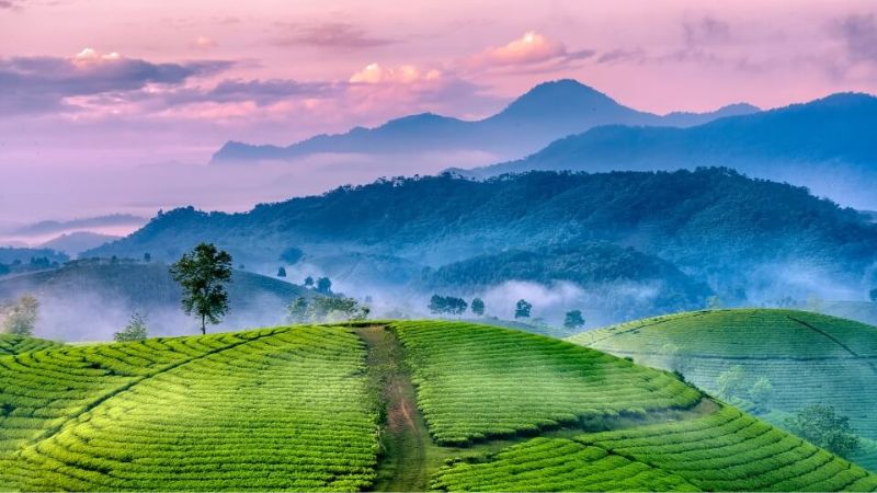 luu-ban-nhap-tu-dong-7283-3 Những hình ảnh đẹp của Việt Nam