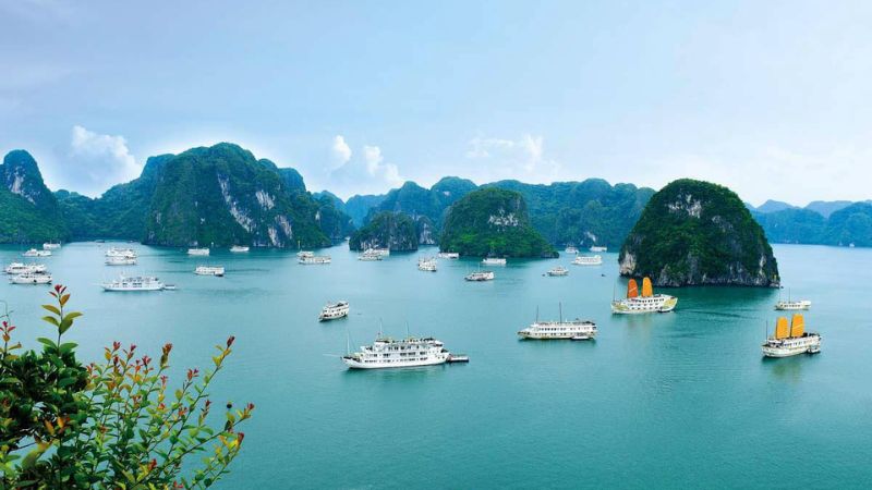 luu-ban-nhap-tu-dong-7283-6 Những hình ảnh đẹp của Việt Nam