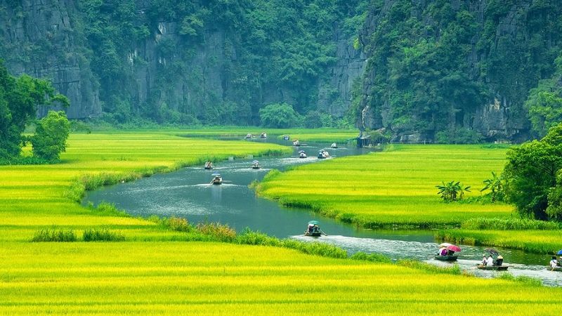 luu-ban-nhap-tu-dong-7283-11 Những hình ảnh đẹp của Việt Nam