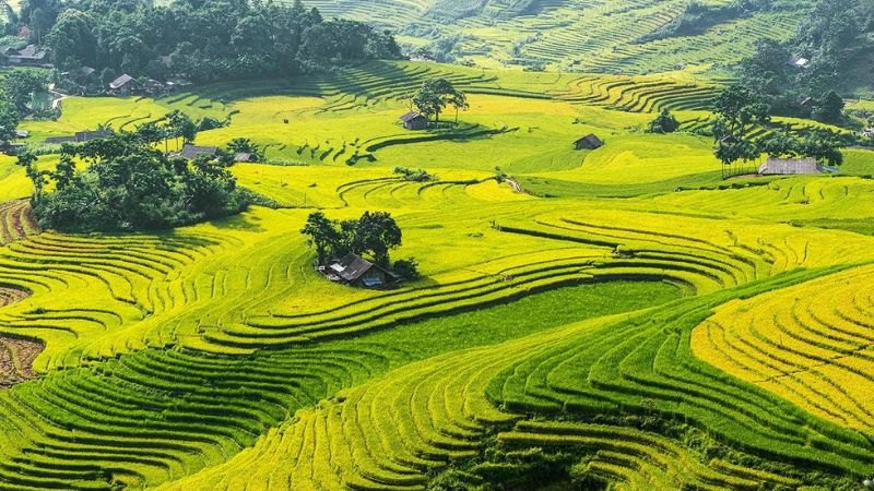 luu-ban-nhap-tu-dong-7283-12 Những hình ảnh đẹp của Việt Nam