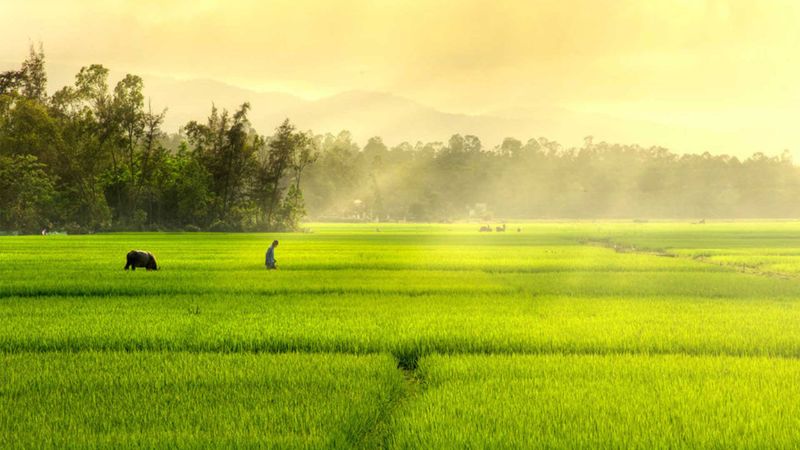 luu-ban-nhap-tu-dong-7283-14 Những hình ảnh đẹp của Việt Nam