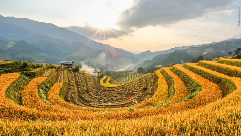 luu-ban-nhap-tu-dong-7283-15 Những hình ảnh đẹp của Việt Nam