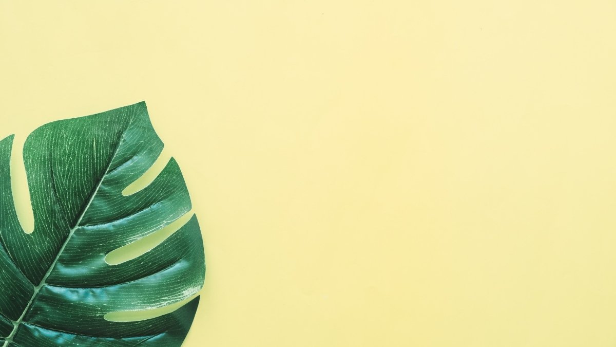 hinh-nen-powerpoint-6 Hình nền Powerpoint đẹp nhất