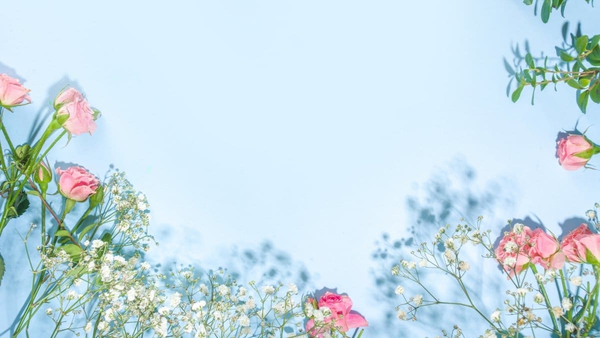 hinh-nen-powerpoint-50 Hình nền Powerpoint về hoa đáng yêu