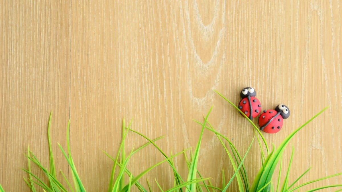 hinh-nen-powerpoint-54 Hình nền Powerpoint thiên nhiên dễ thương