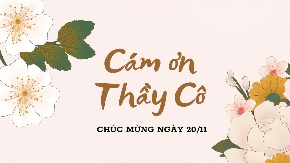 Các mẫu nền 20/11 hoa cỏ