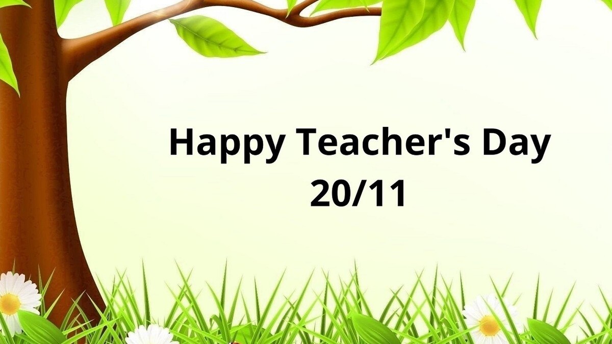 background 20 11 đẹp