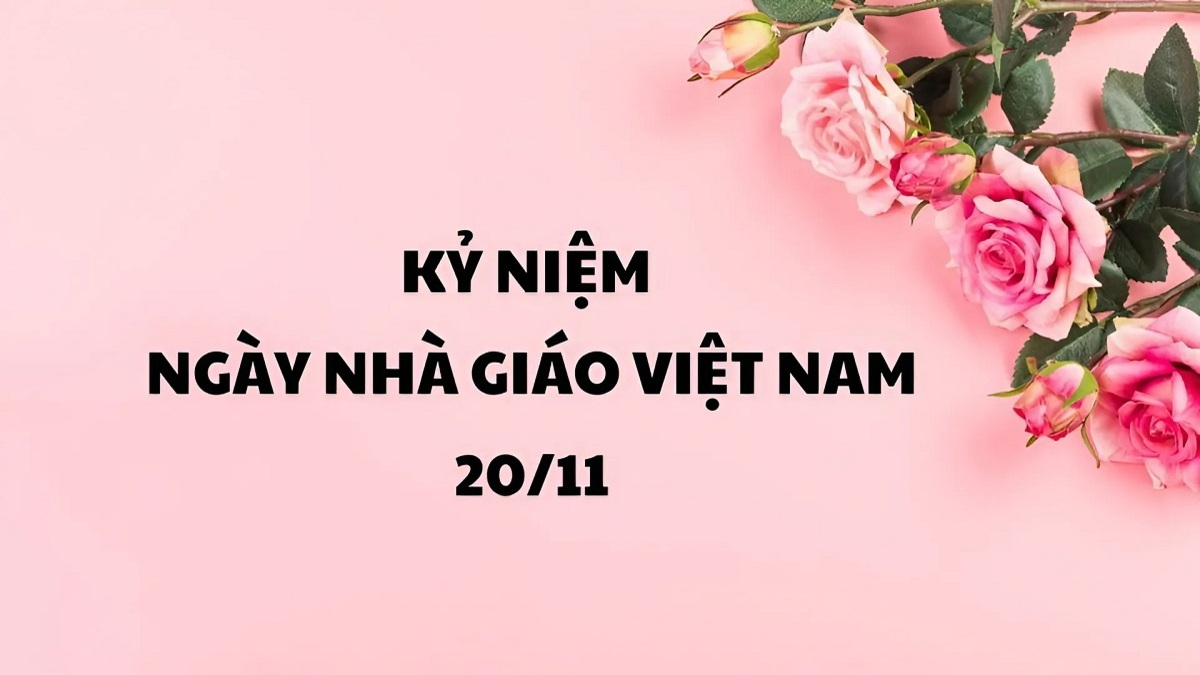 background 20 11 thu hút