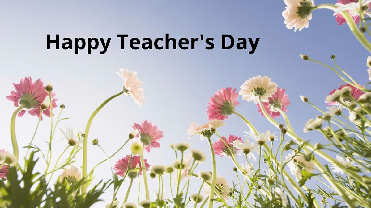 Hình ảnh trang trí đẹp nhất cho ngày 20/11