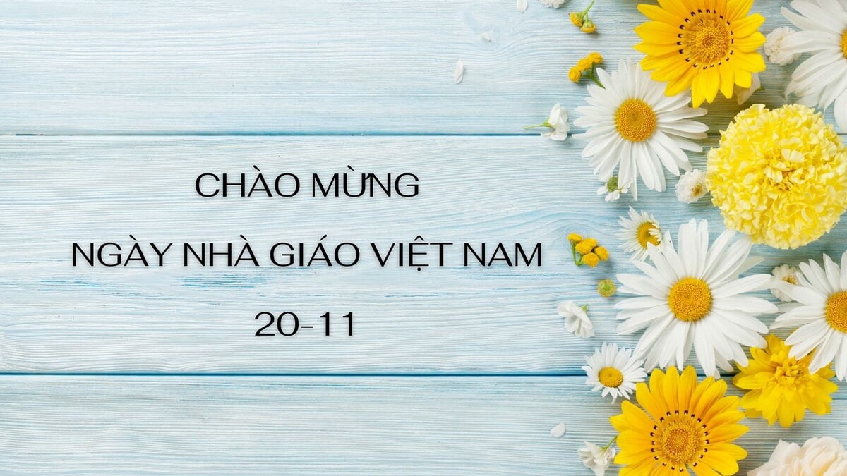 Mẫu background 20/11 trang trí hoa cỏ đẹp, ấm áp