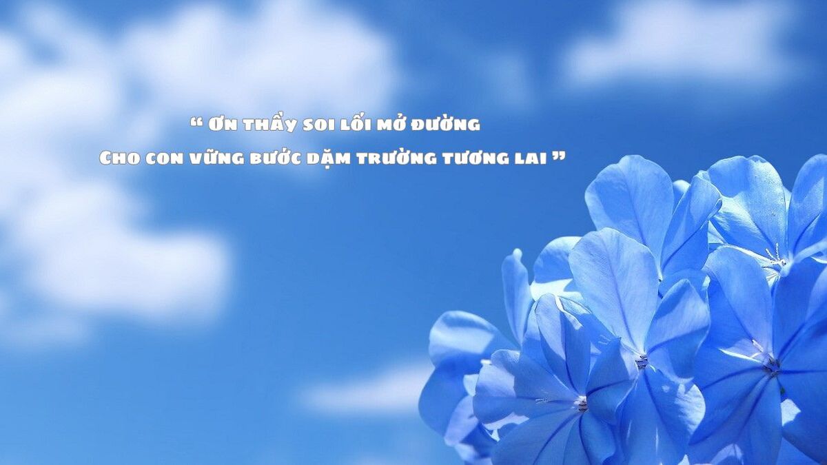 mẫu background 20/11 có trích dẫn hay