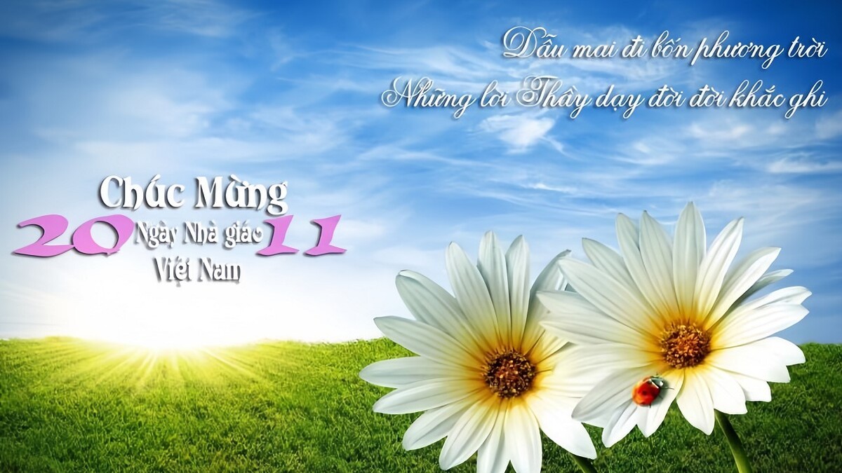 background 20 11 độc đáo