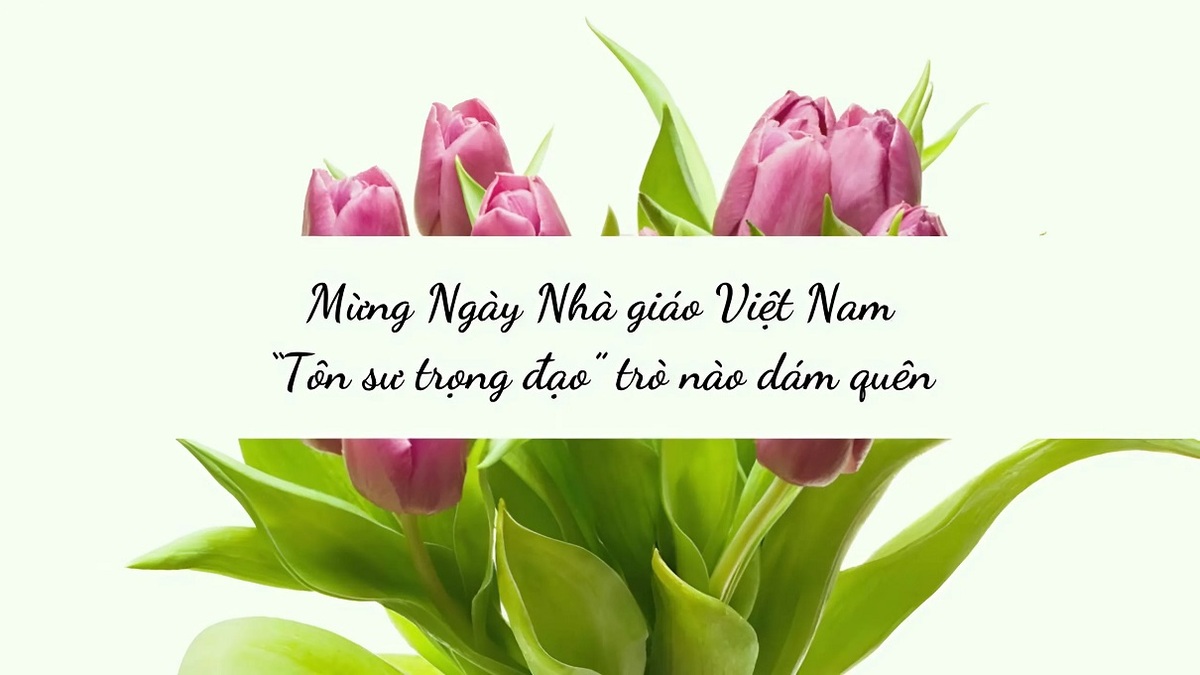 Background 20/11 thể hiện lòng chân thành