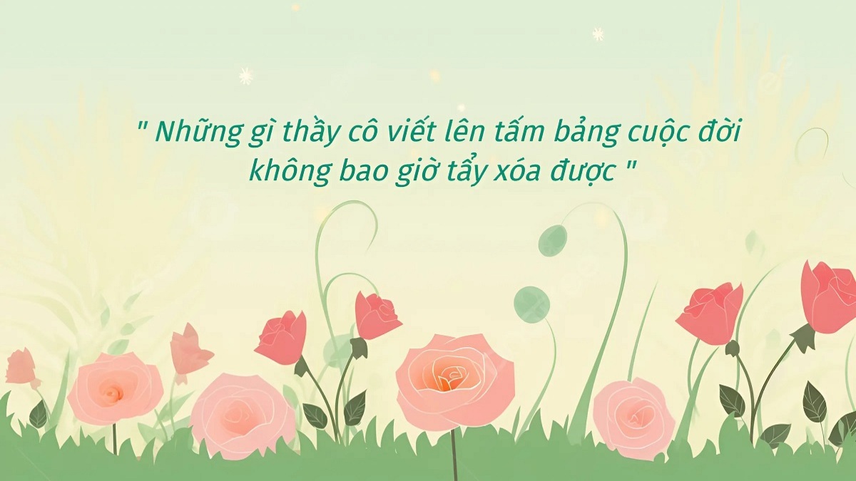background 20 11 đẹp mắt nhất