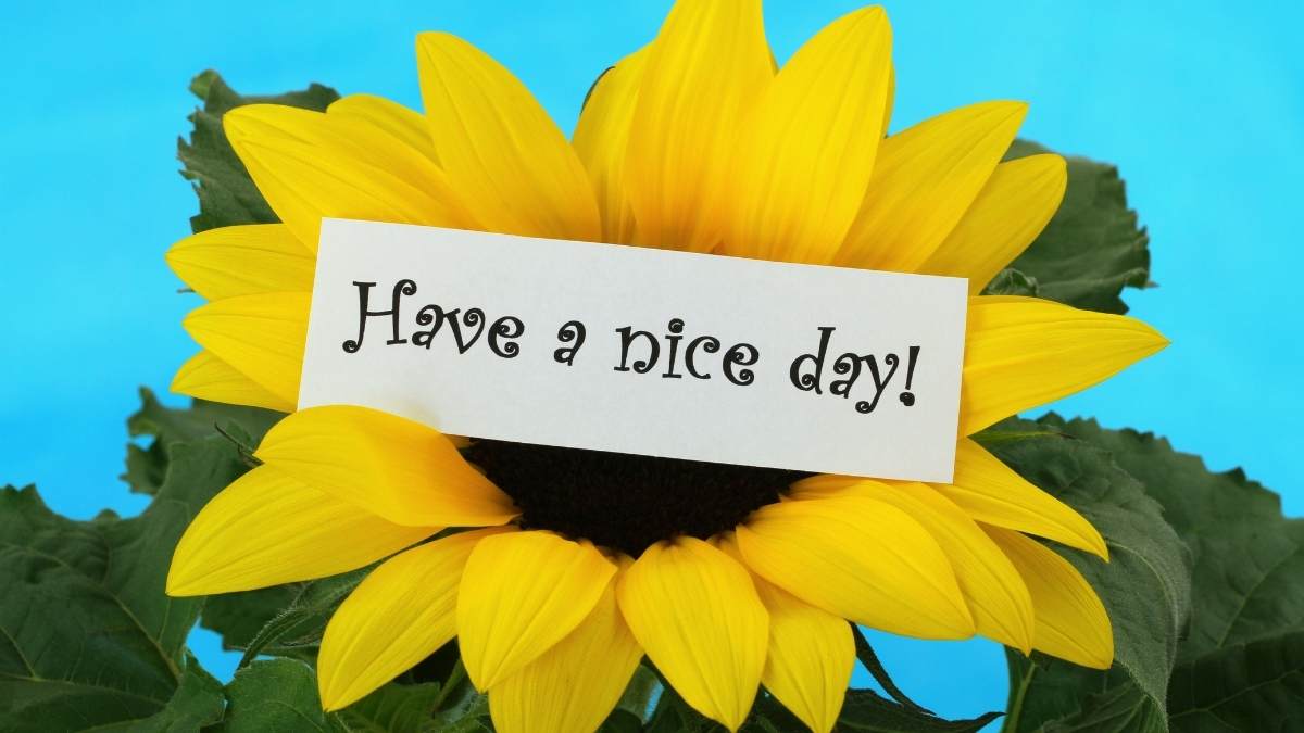 hinh-anh-chuc-ngay-moi-51 Hình ảnh chào ngày mới rực rỡ